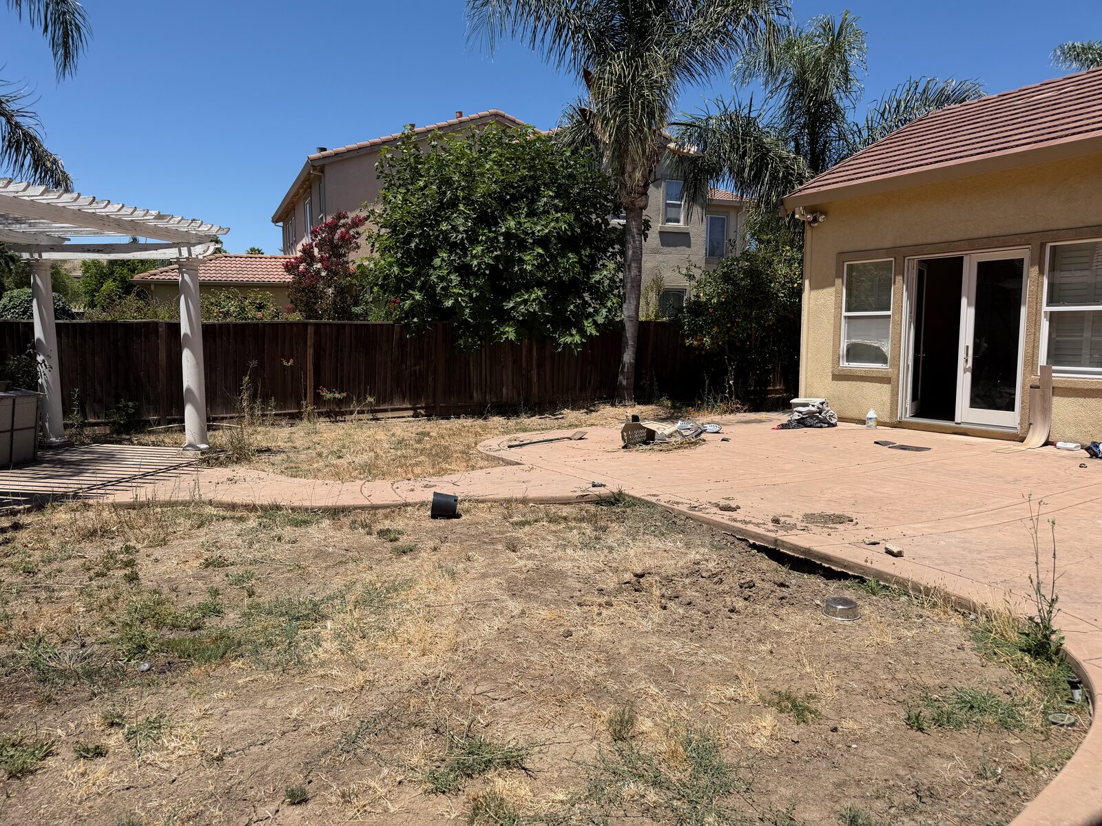 Backyard, huge lot